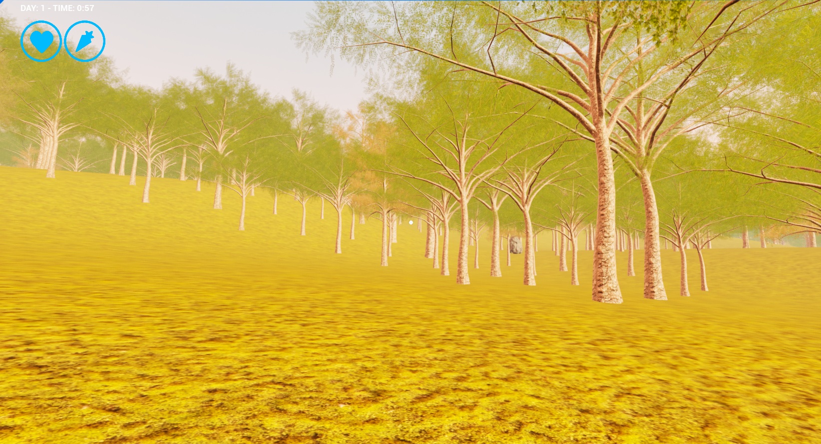 Exploration