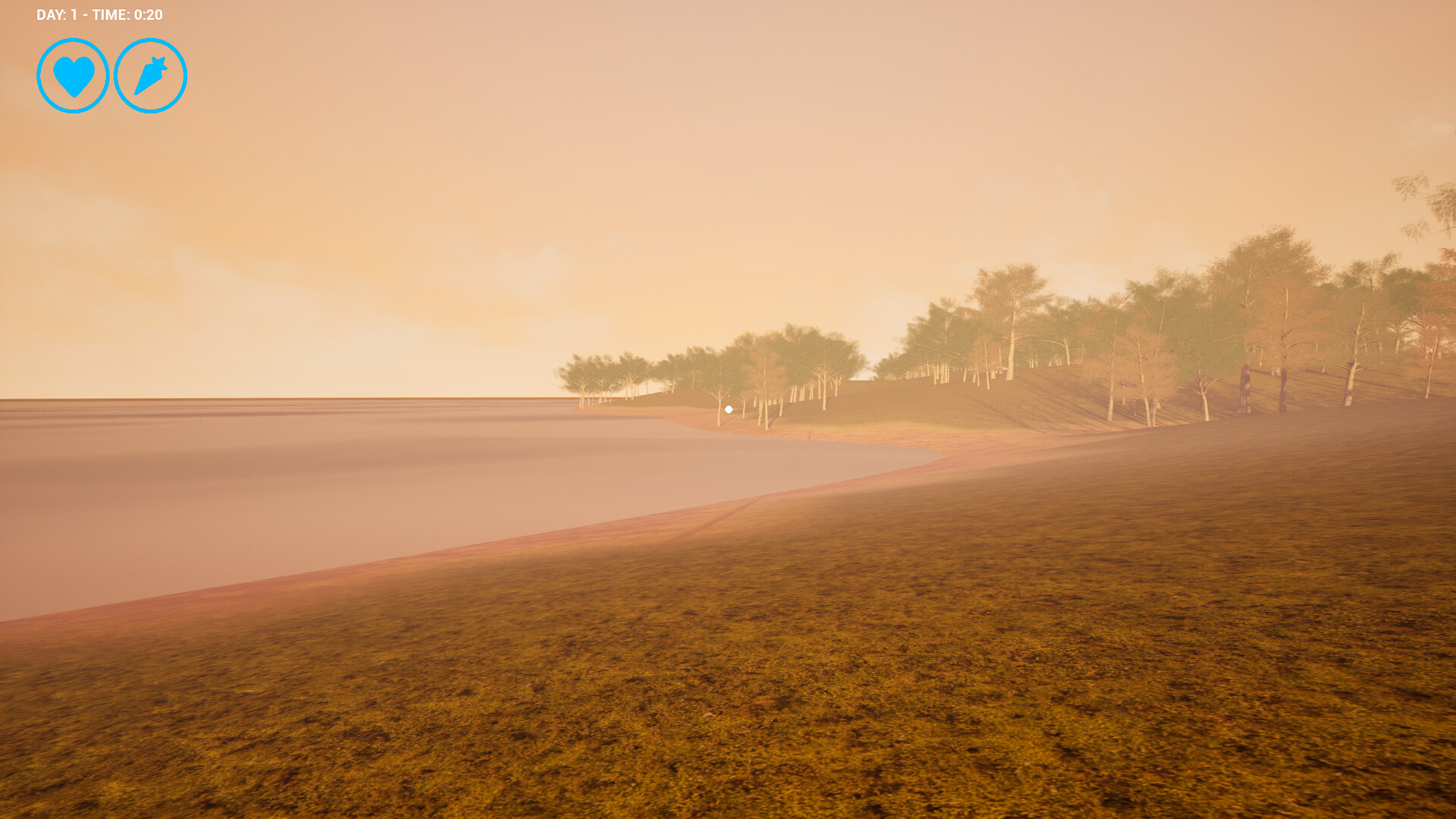 First Person View